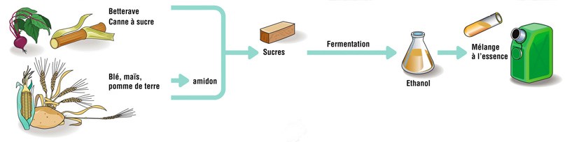 bioethanol